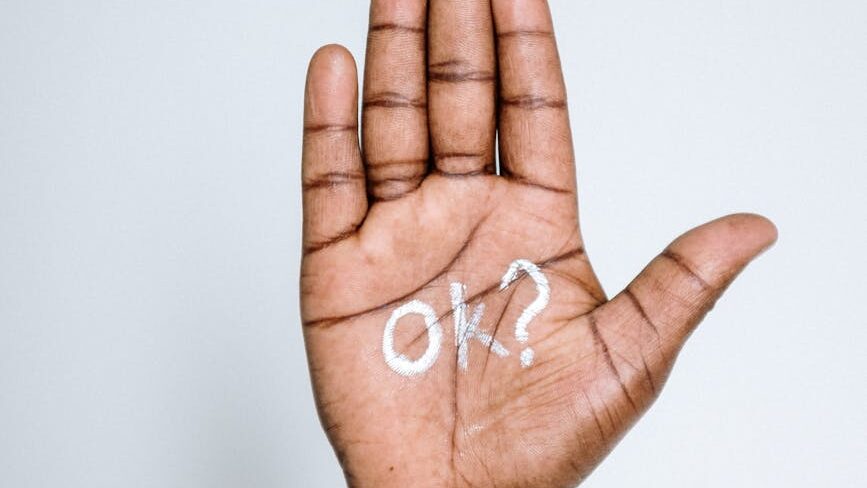 photo of person s palm